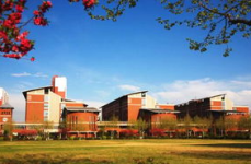 河北吃瓜协会官网入口,官方入口带你领略地方特色美食文化