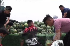 甘谷网红吃瓜事件视频,一场网络狂欢背后的真相揭秘