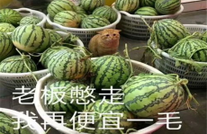 伦敦吃瓜网红是哪里人呀,他/她究竟来自何方？