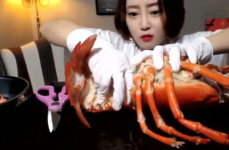 韩国小姐姐吃花虾,韩国小姐姐的甜蜜花虾美食之旅