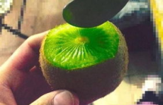 抖音网红吃瓜水果,一场视觉与味蕾的双重盛宴