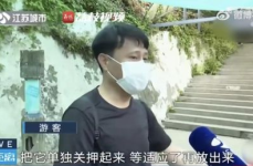 网红吃瓜兄妹是谁,揭秘娱乐圈幕后风云
